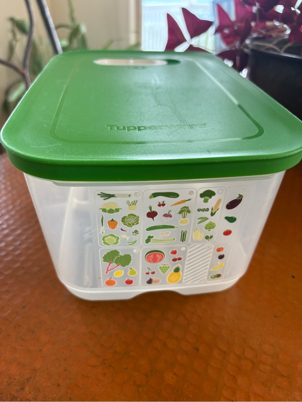 Tupperware Produce Storage Smart FridgeSmart Green Lid Food Storage Container
